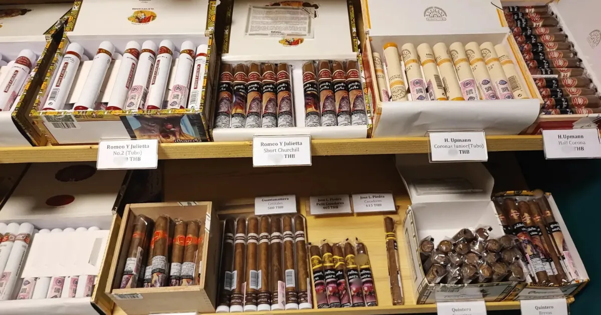 CNX Cigars humidor collection